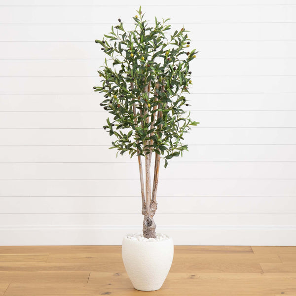 5’ Olive Tree in White Oval Planter