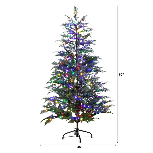 5’ Pre-Lit Artificial Park City Pine Christmas Tree with 200 Multicolored LED Dewdrop Lights