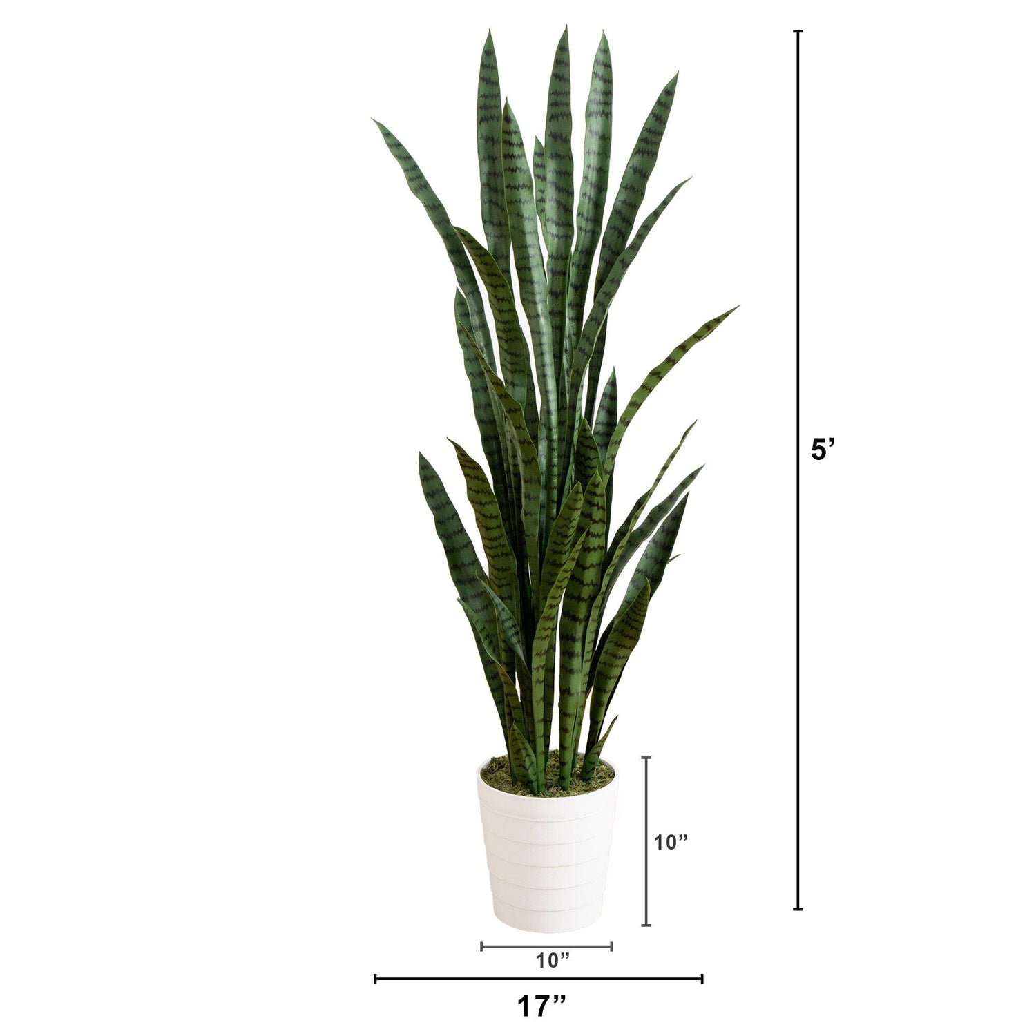 5’ UV Resistant Artificial Sansevieria Plant in White Decorative Planter (Indoor/Outdoor)