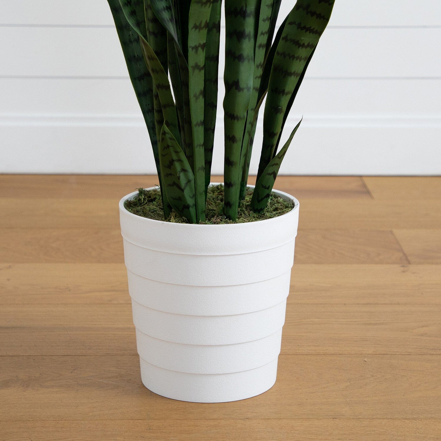 5’ UV Resistant Artificial Sansevieria Plant in White Decorative Planter (Indoor/Outdoor)