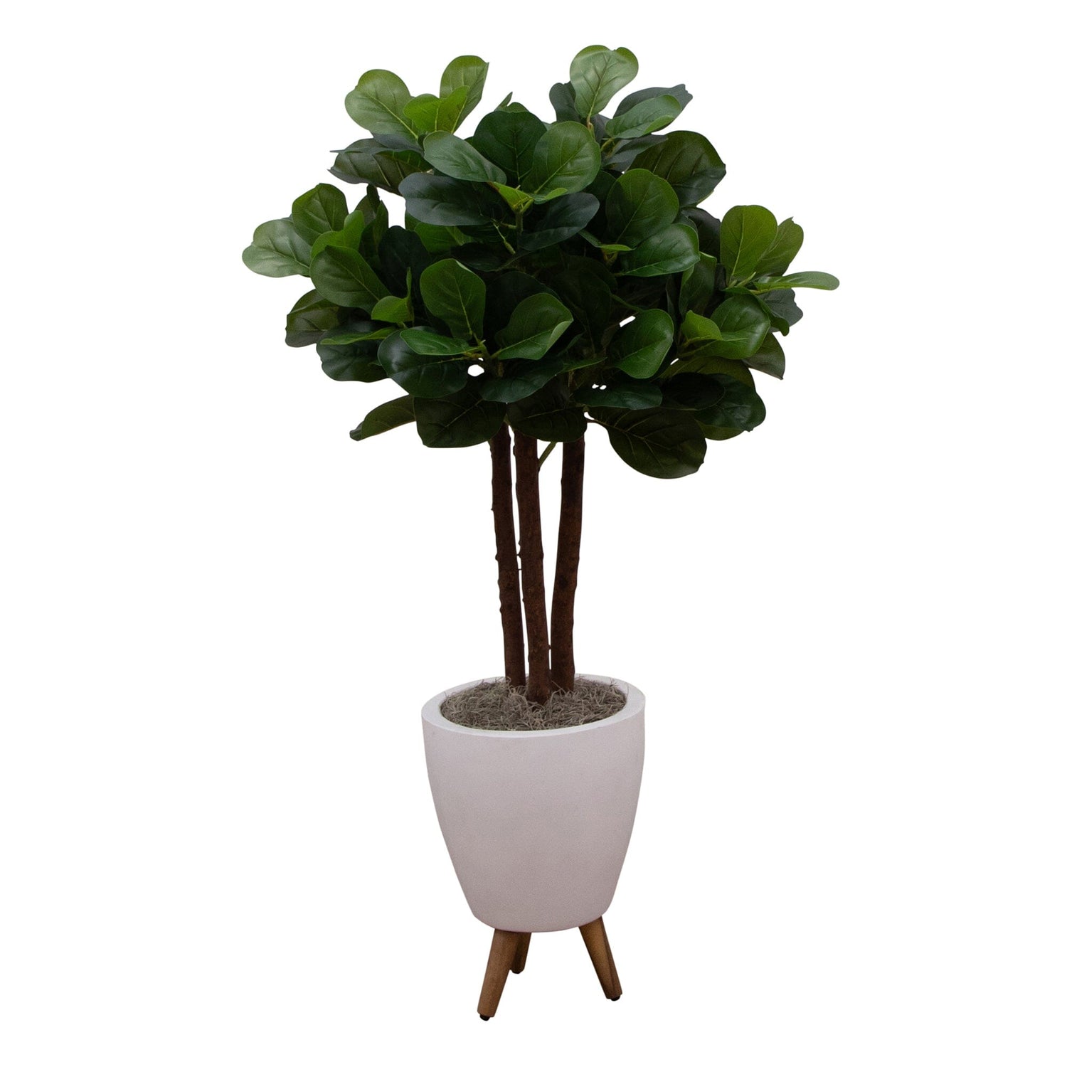 53” Artificial Triple Trunk Fiddle Leaf Fig Tree in White Ceramic Tripod Planter