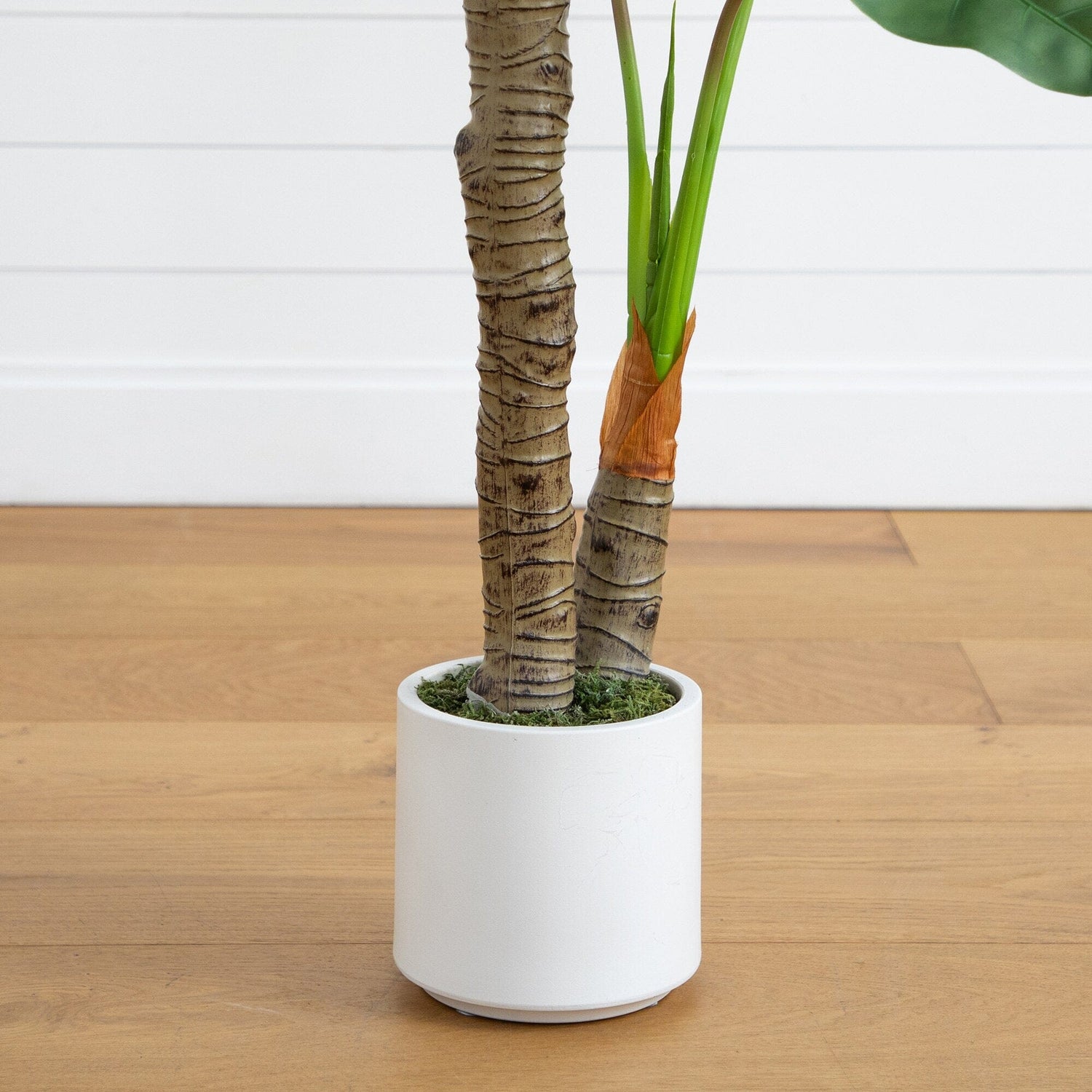 5.5’ Artificial Arrowhead Philodendron in White Decorative Planter