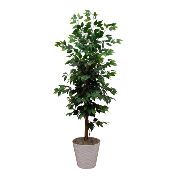 5.5' Artificial Ficus Tree in Hexagon Metal Planter