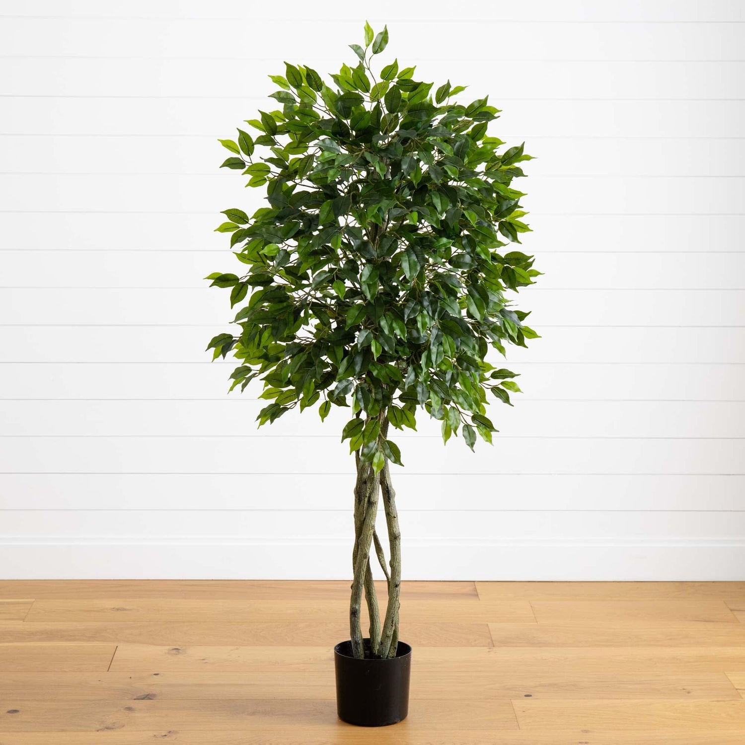 5.5' Ficus Tree UV Resistant (Indoor/Outdoor)