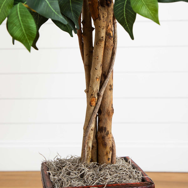 5.5’ Ficus Tree w/Bamboo Planter