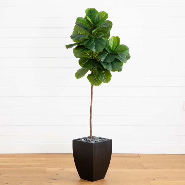 5.5’ Fiddle Leaf Artificial Tree in Black Planter (Real Touch)