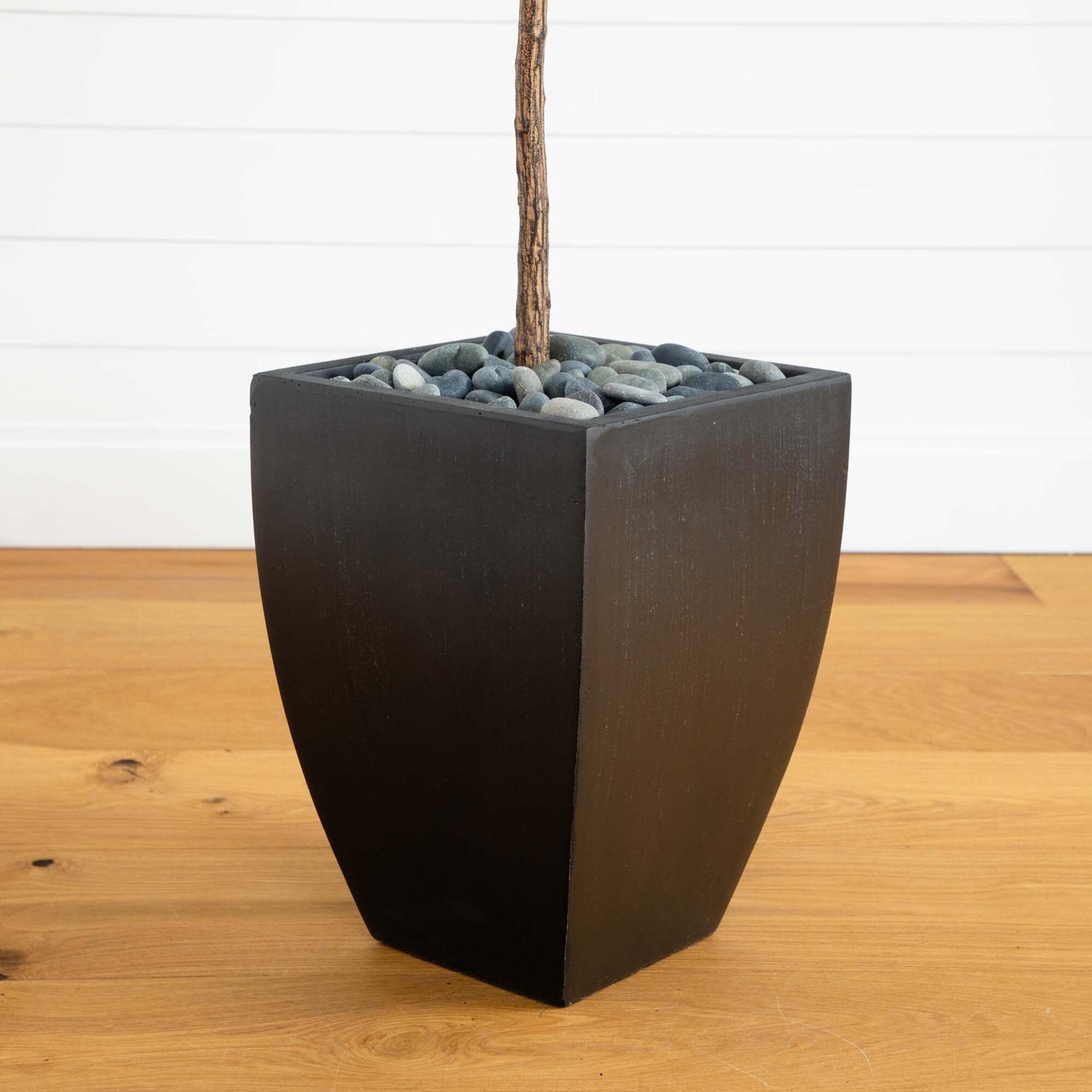 5.5’ Fiddle Leaf Artificial Tree in Black Planter (Real Touch)