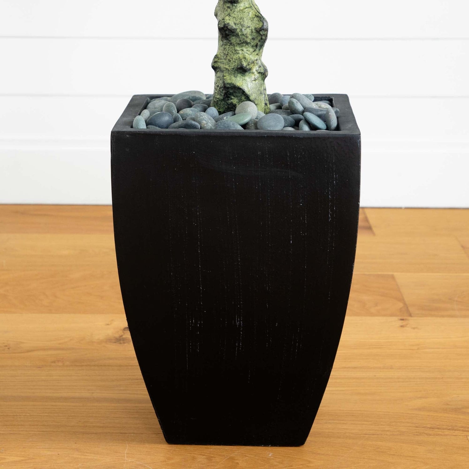 5.5’ Mango Artificial Tree in Black Wash Planter (Indoor/Outdoor)