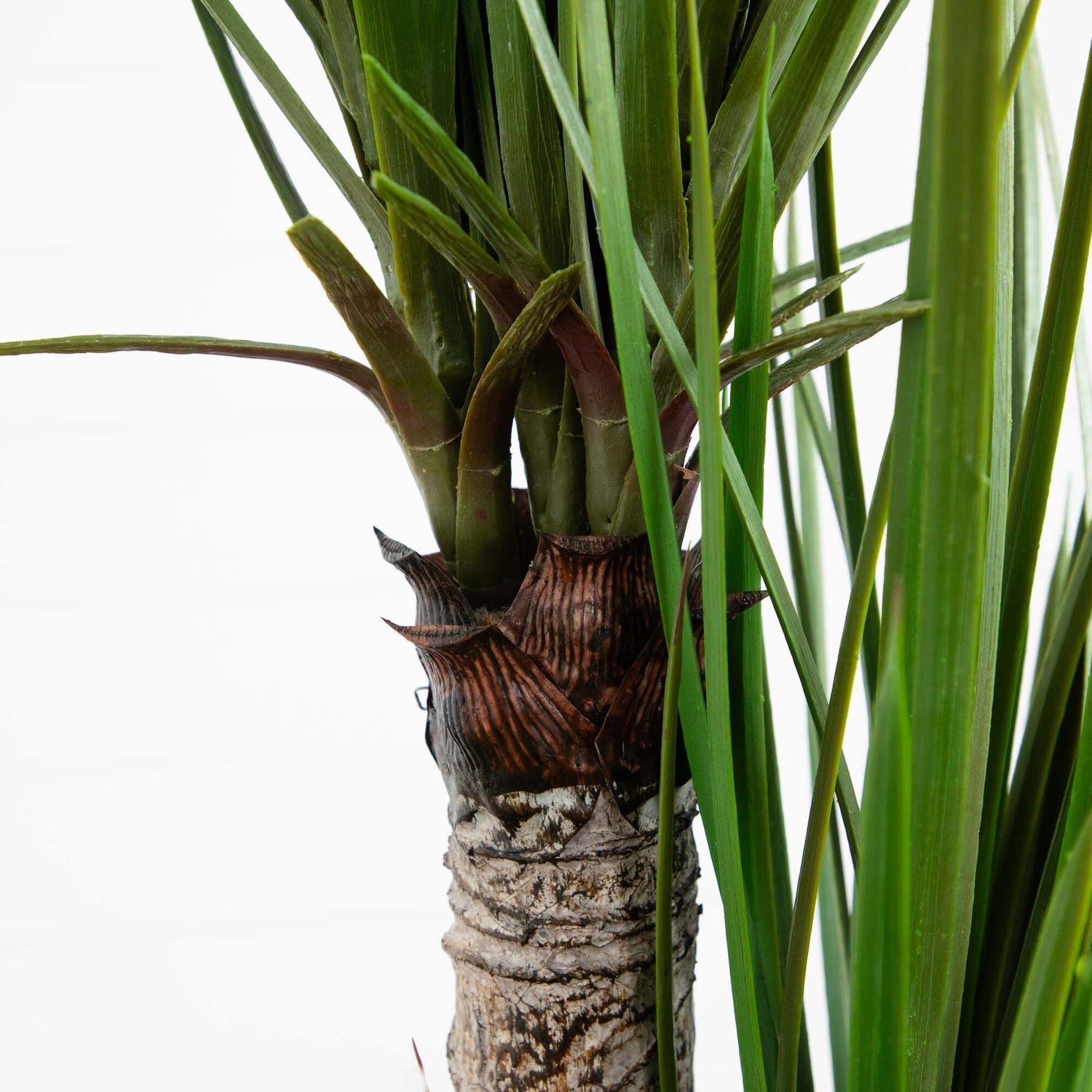 5.5’ Yucca Artificial Tree in White Planter