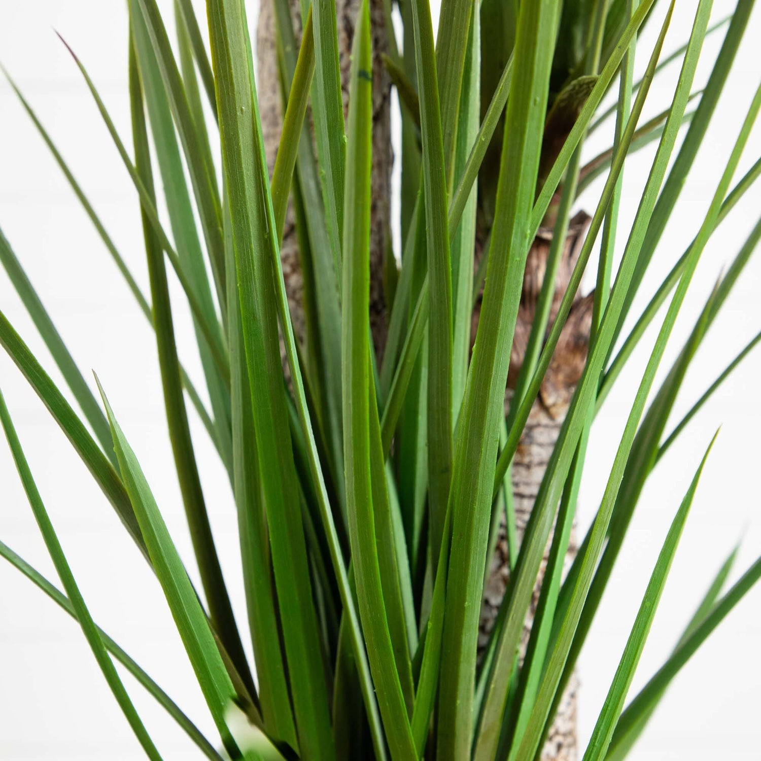 5.5’ Yucca Artificial Tree in White Planter