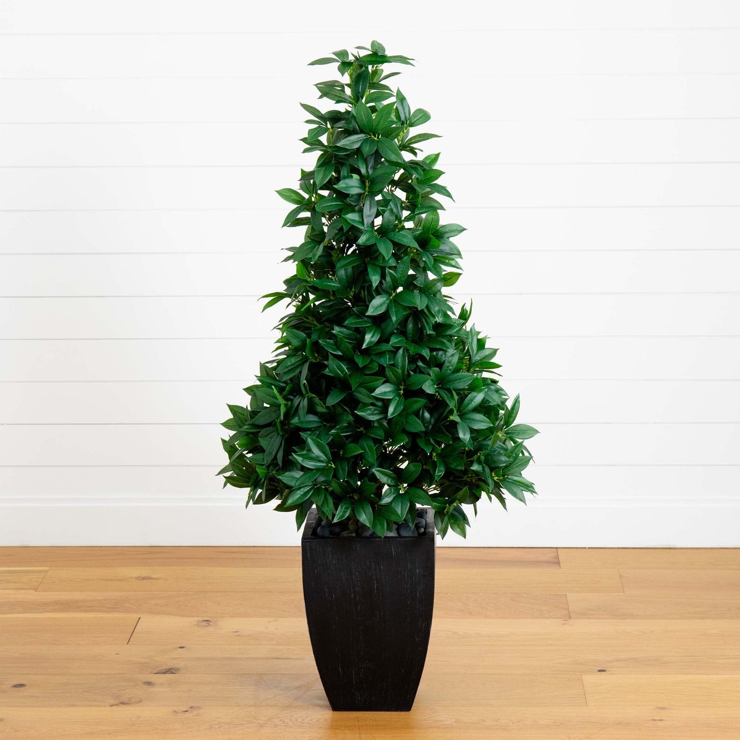 56” Bay Leaf Cone Topiary Artificial Tree UV Resistant in Black Planter (Indoor/Outdoor)