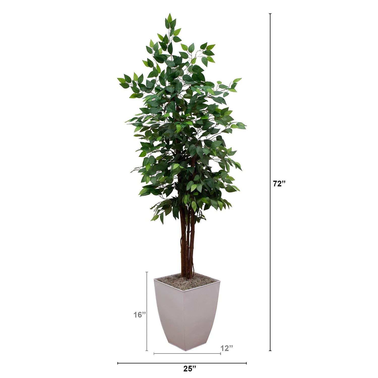 6' Artificial Ficus Tree in White Metal Planter