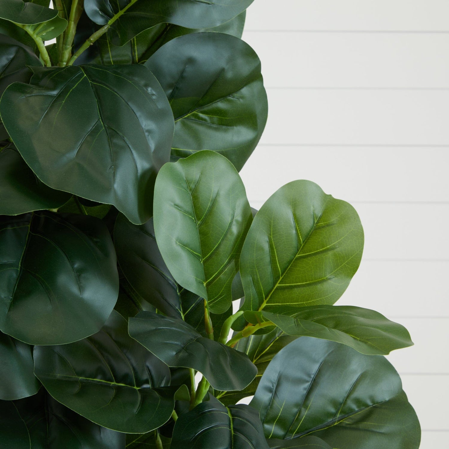 6’ Artificial Fiddle Leaf Fig Tree