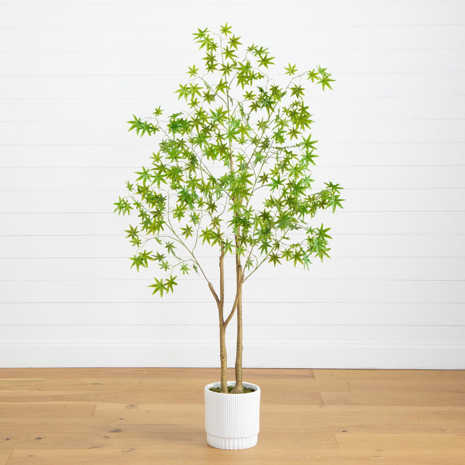 6’ Artificial Maple Tree with White Planter