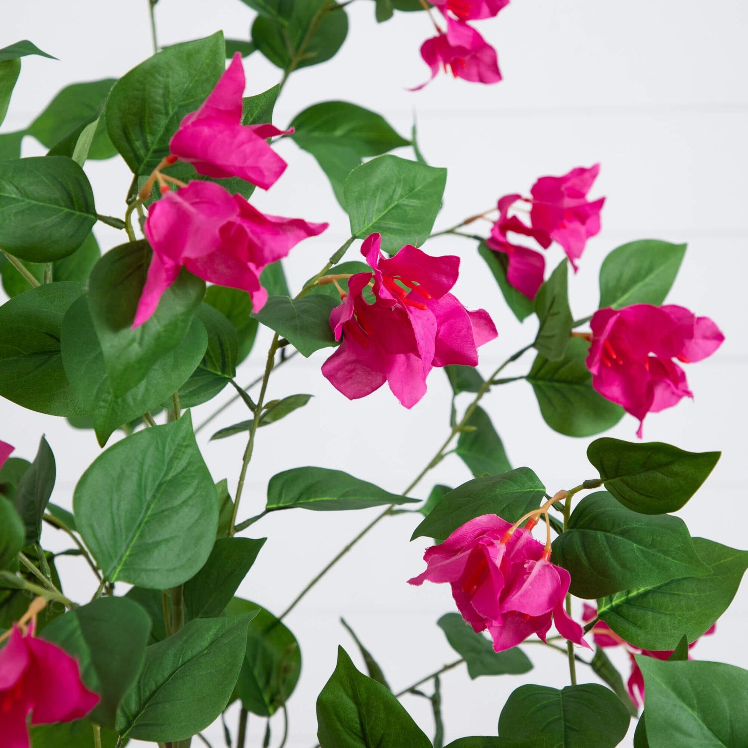 6’ Artificial Minimalist Bougainvillea Tree