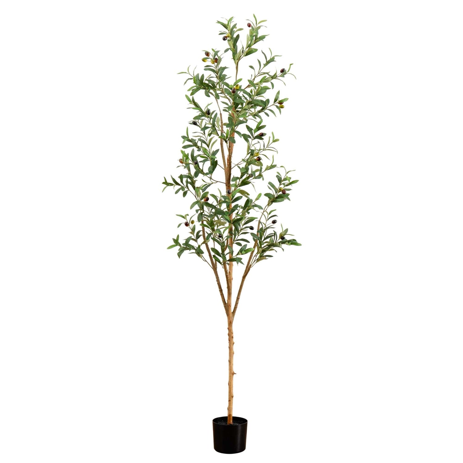 6’ Artificial Olive Tree with Natural Trunk