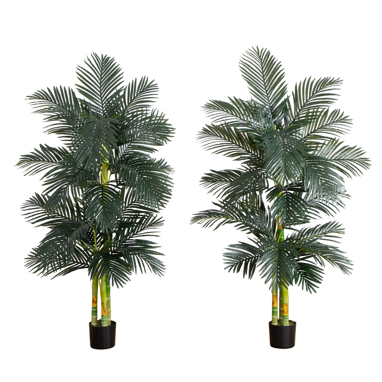 6’ Artificial Triple Stalk Golden Cane Palm Tree- Set of 2