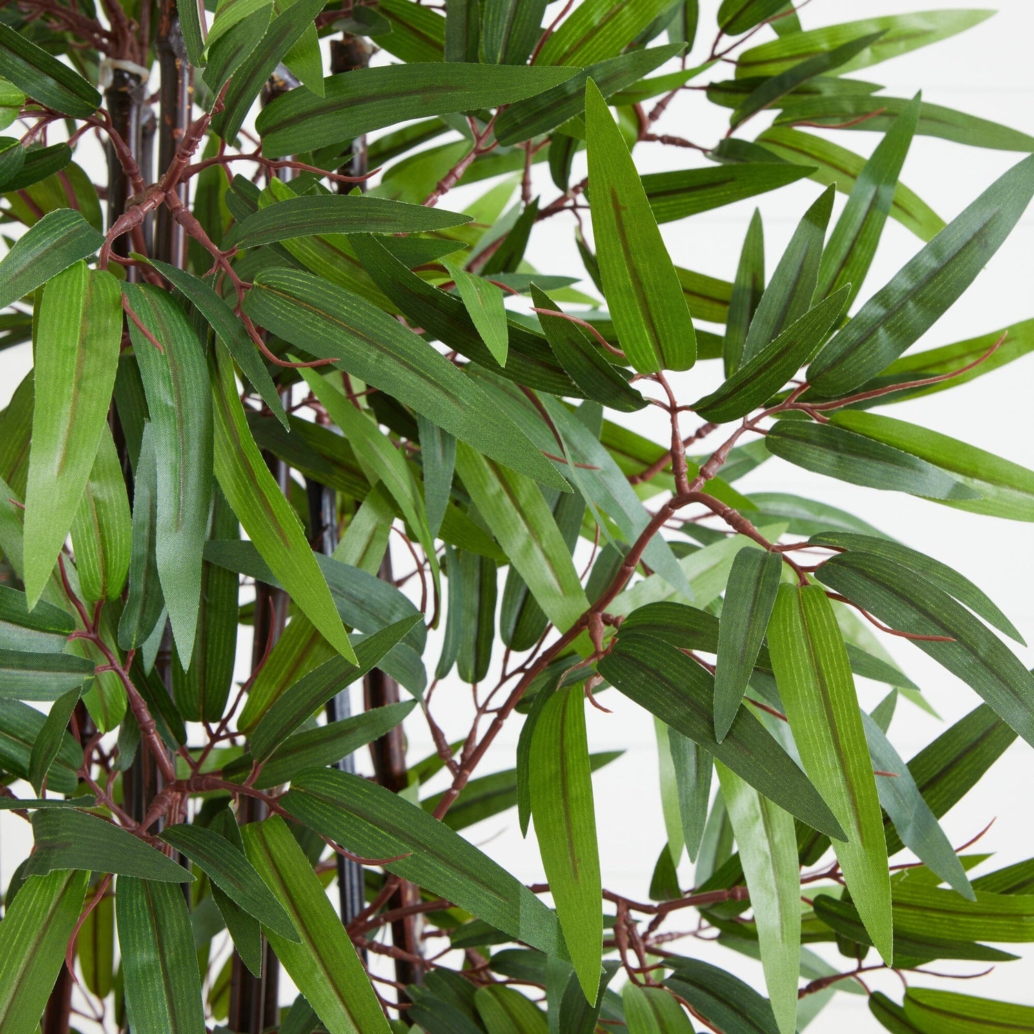 6’ Bamboo Silk Tree w/Planter