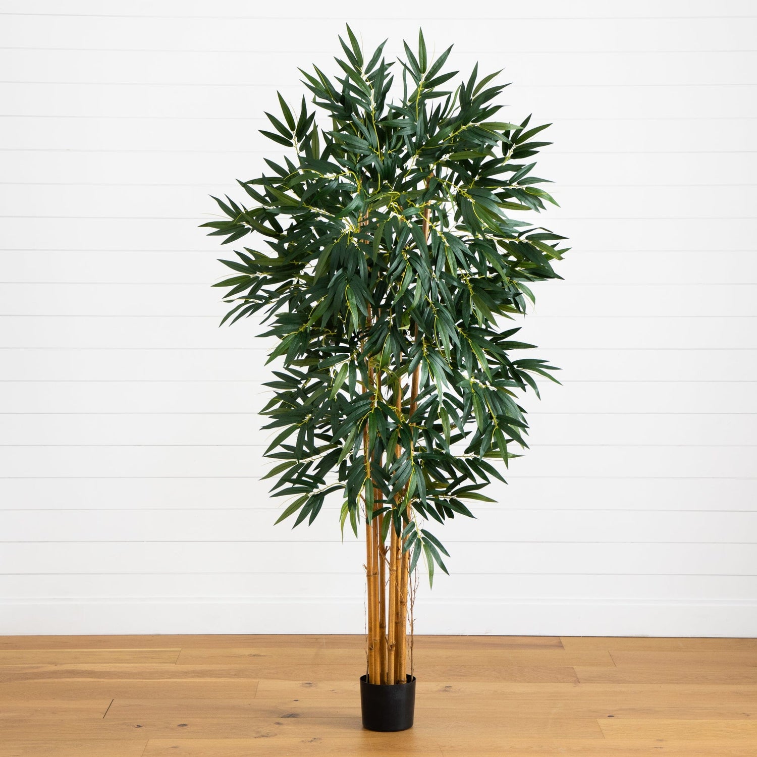 6' Biggy Style Bamboo Silk Tree