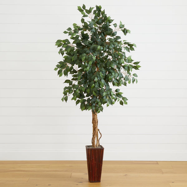 6' Ficus Tree w/Bamboo Planter