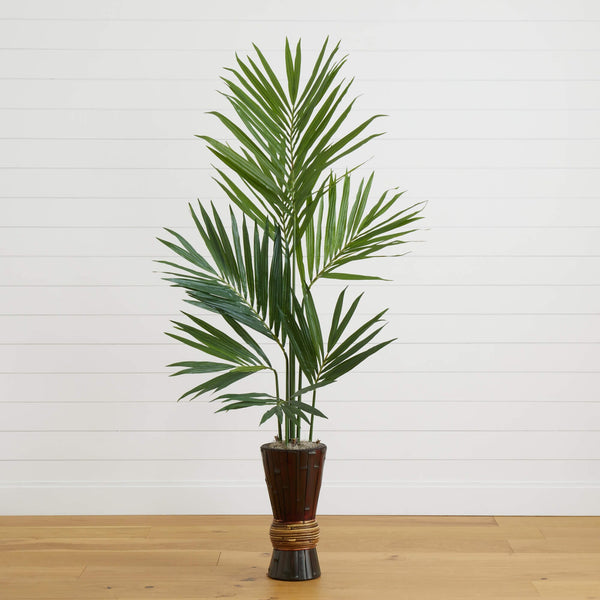 6’ Kentia Tree w/Bamboo Planter