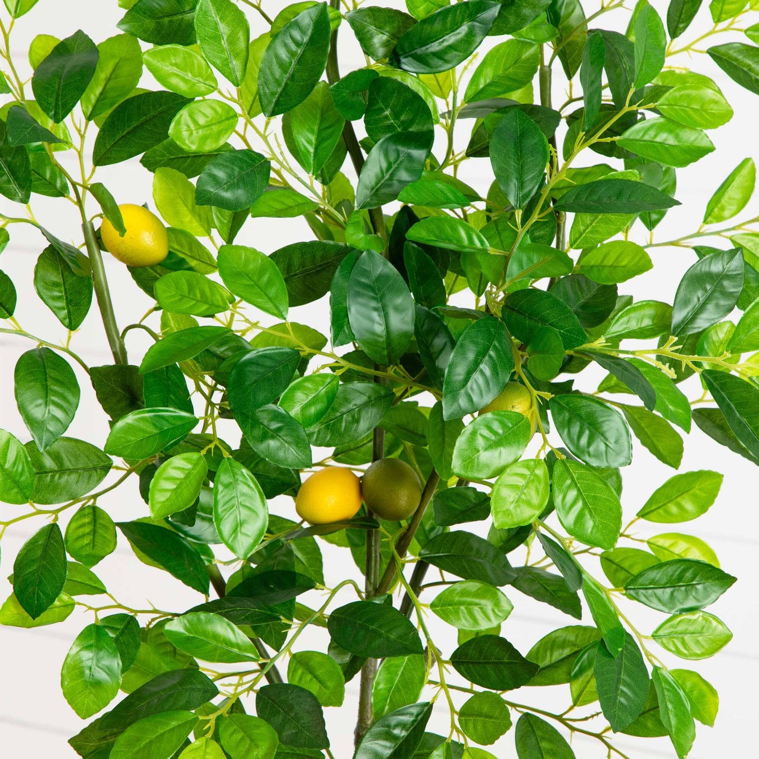 6’ Lemon Artificial Tree in Olive Green Planter