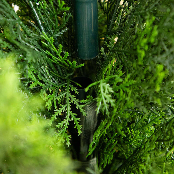 6' Mini Cedar Pine Tree (Indoor/Outdoor)