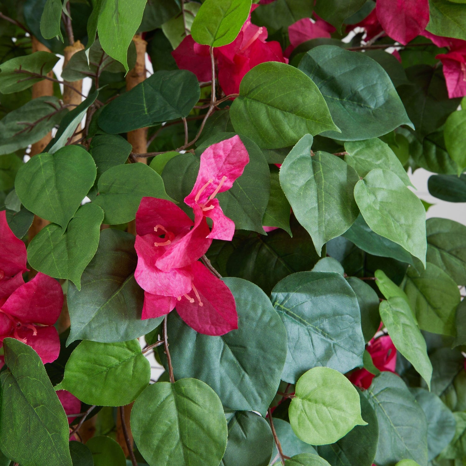 6' Multi Vine Bougainvillea Silk Tree