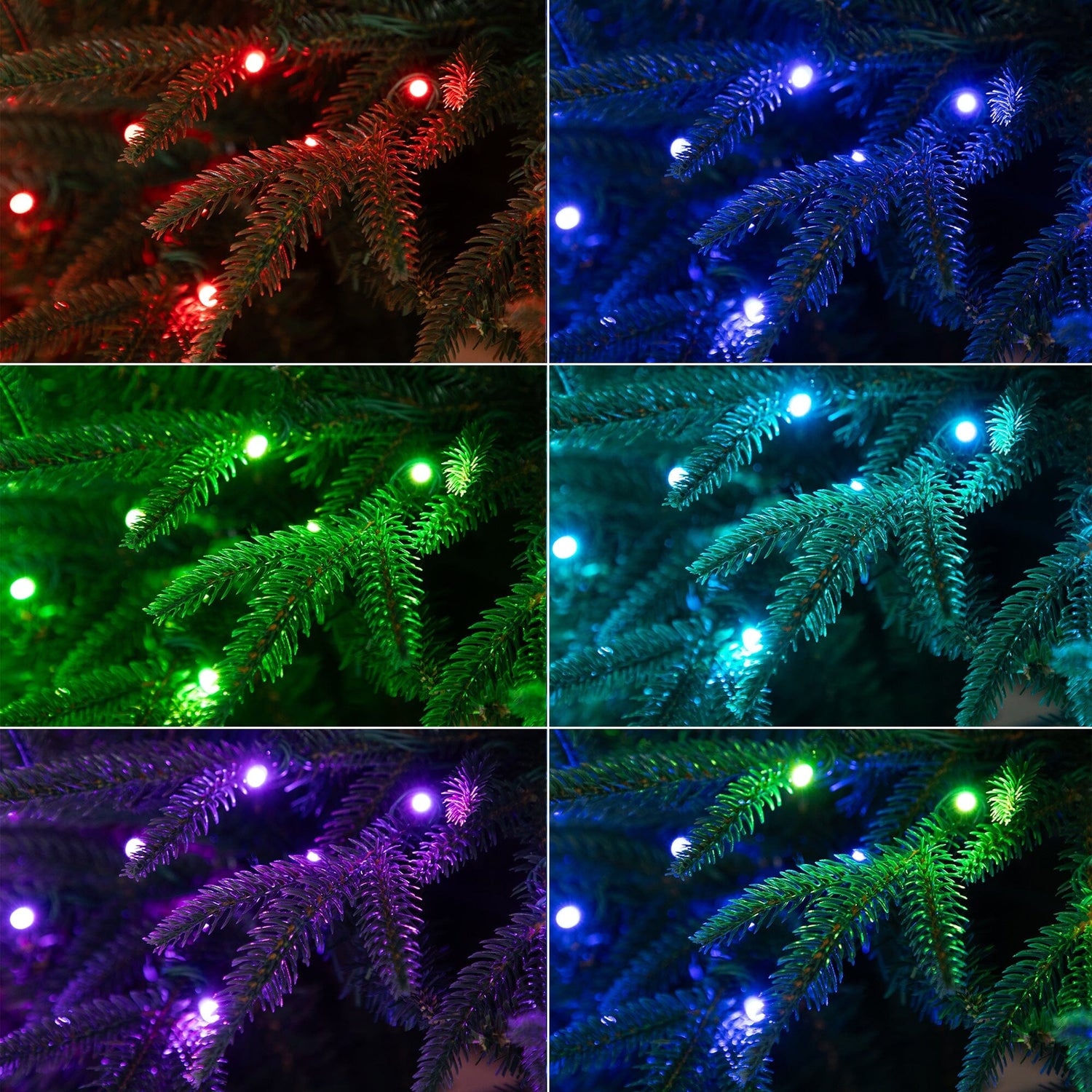 6’ Pre-Lit Artificial Edmonton Fir Light Show Memory Shape Christmas Tree with Instant Connect Technology and 300 Color Changing LED Lights