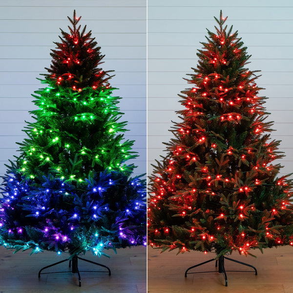 6’ Pre-Lit Artificial Edmonton Fir Light Show Memory Shape Christmas Tree with Instant Connect Technology and 300 Color Changing LED Lights