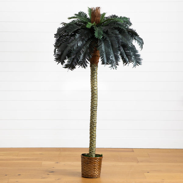 6' Sago Palm Silk Tree