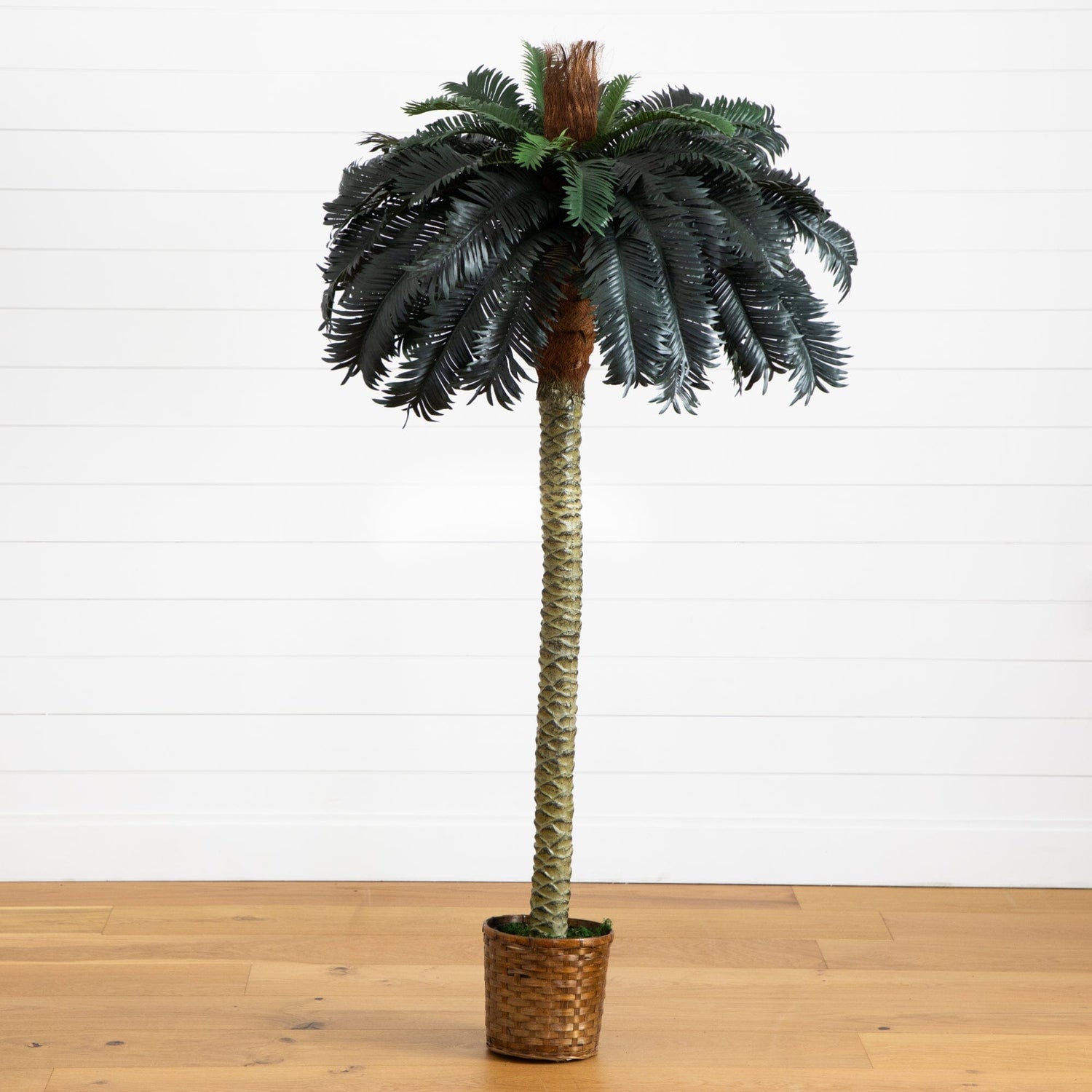 6' Sago Palm Silk Tree