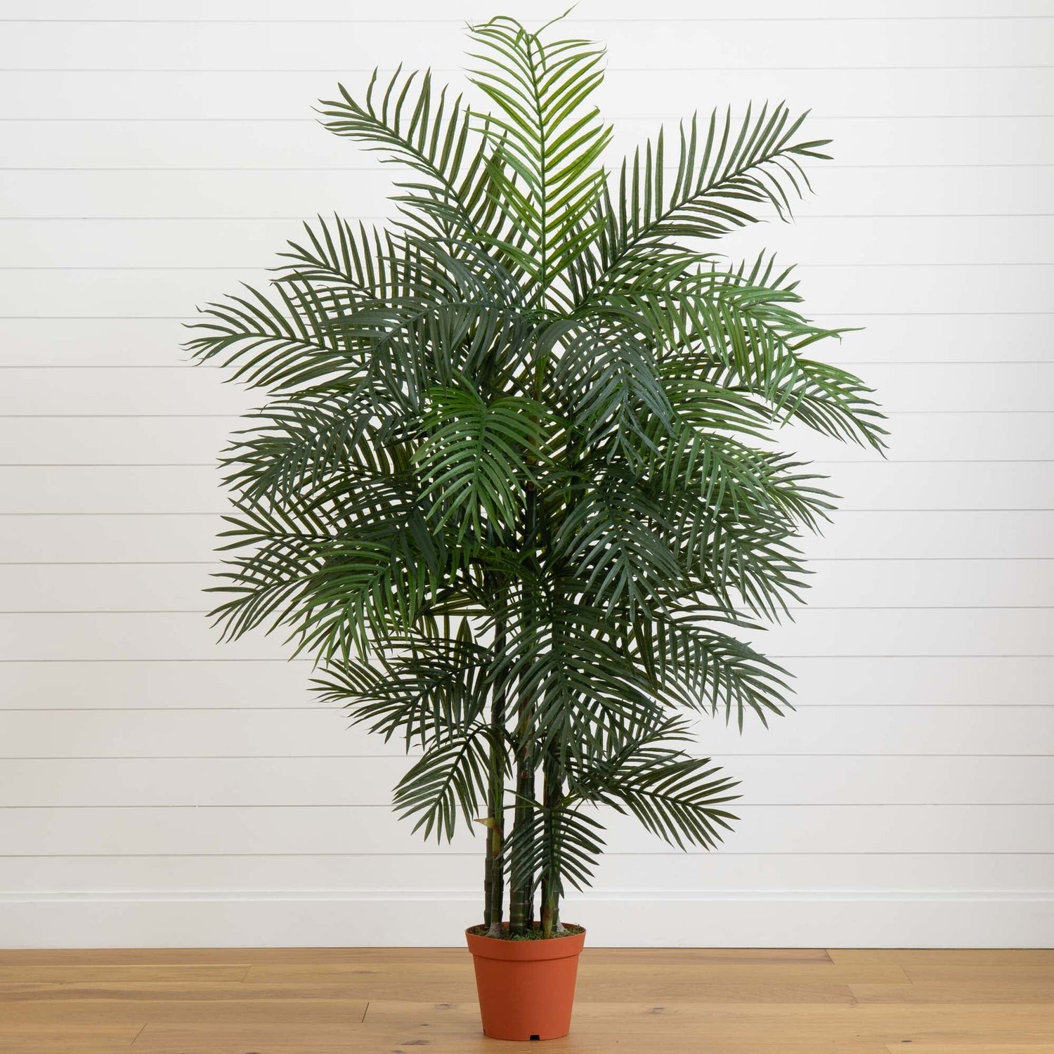 6.5' Areca Palm UV Resistant (Indoor/Outdoor)