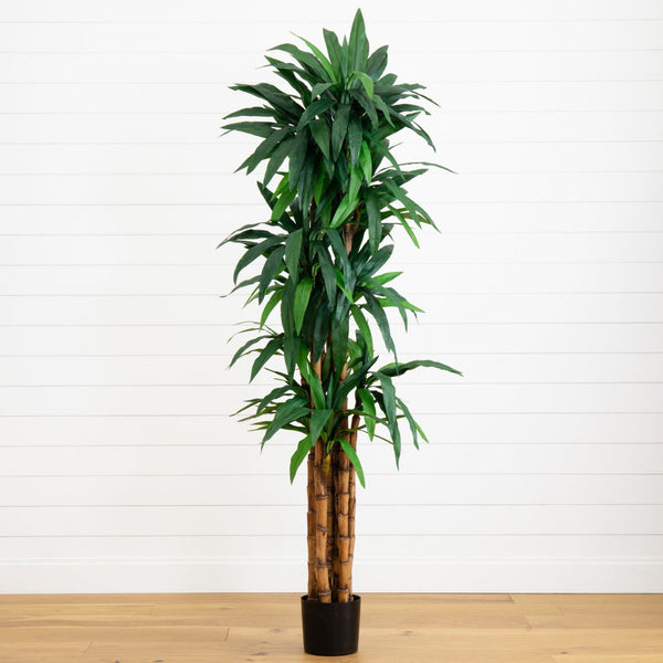 6.5’ Dracaena Tree