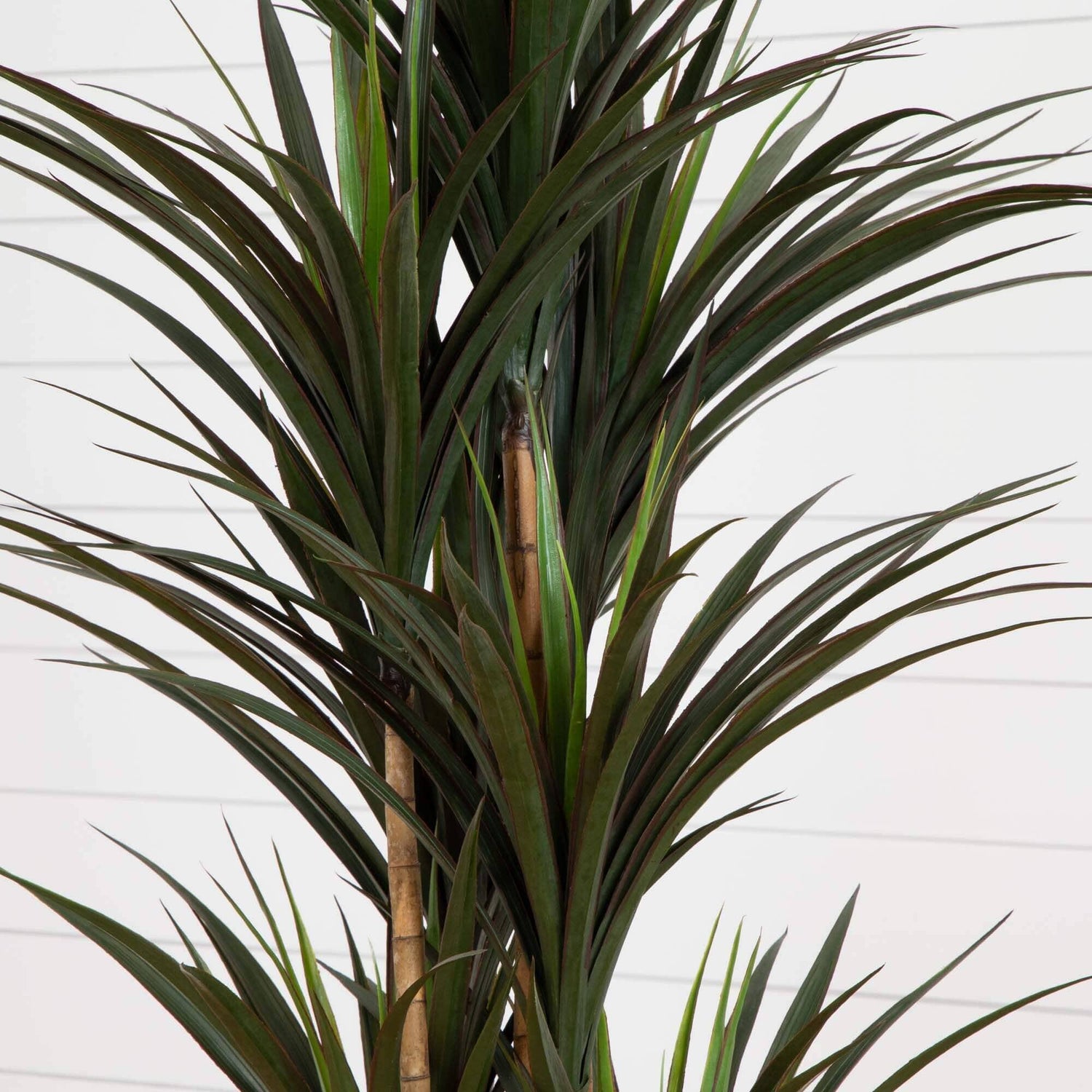 68” Giant Yucca Artificial Tree in Planter (Indoor/Outdoor)