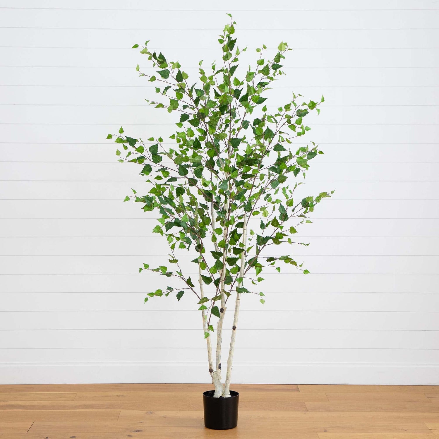 7’ Artificial Birch Tree with Real Touch Leaves