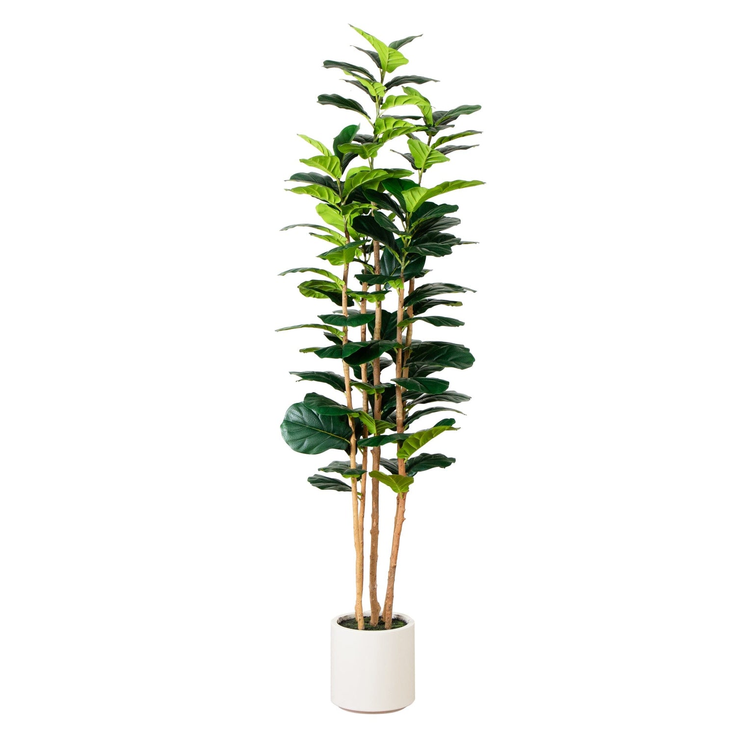 7’ Artificial Fiddle Leaf Tree in Decorative White Planter