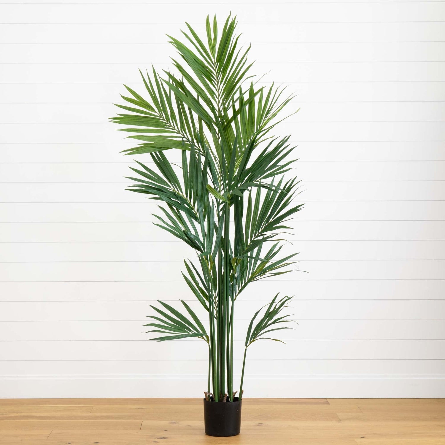 7' Artificial Kentia Palm Silk Tree