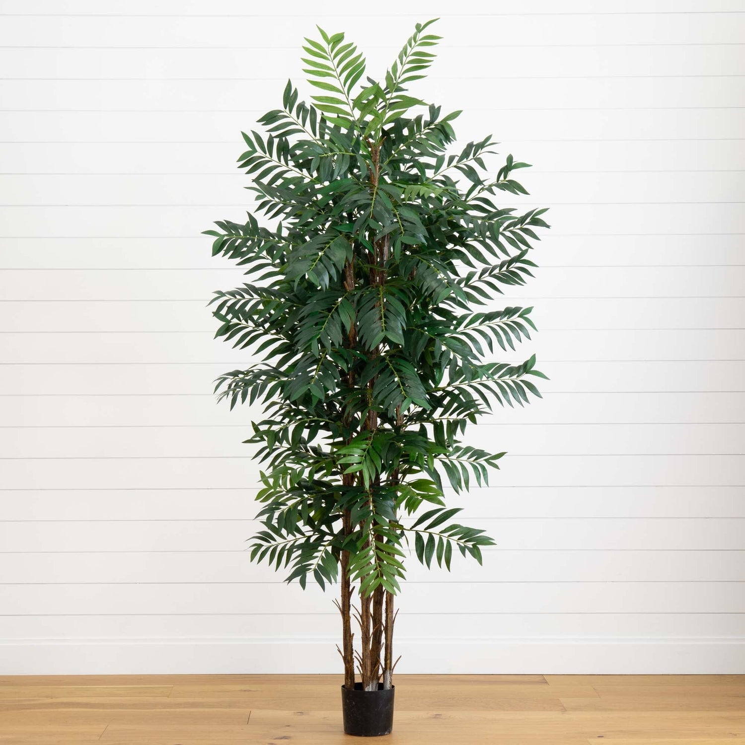 7' Bamboo Palm Silk Tree