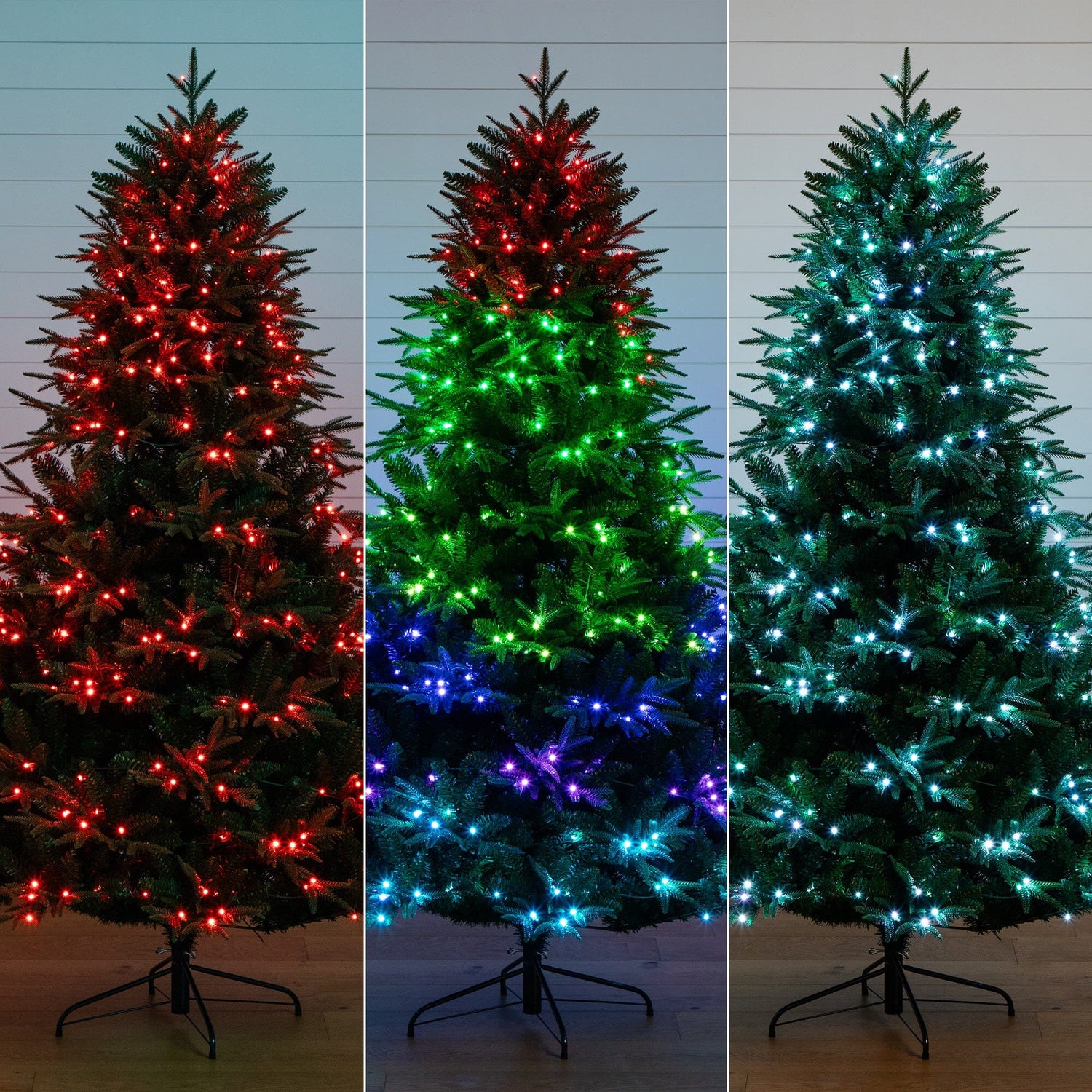 7’ Pre-Lit Artificial Edmonton Fir Light Show Memory Shape Christmas Tree with Instant Connect Technology and 460 Color Changing LED Lights