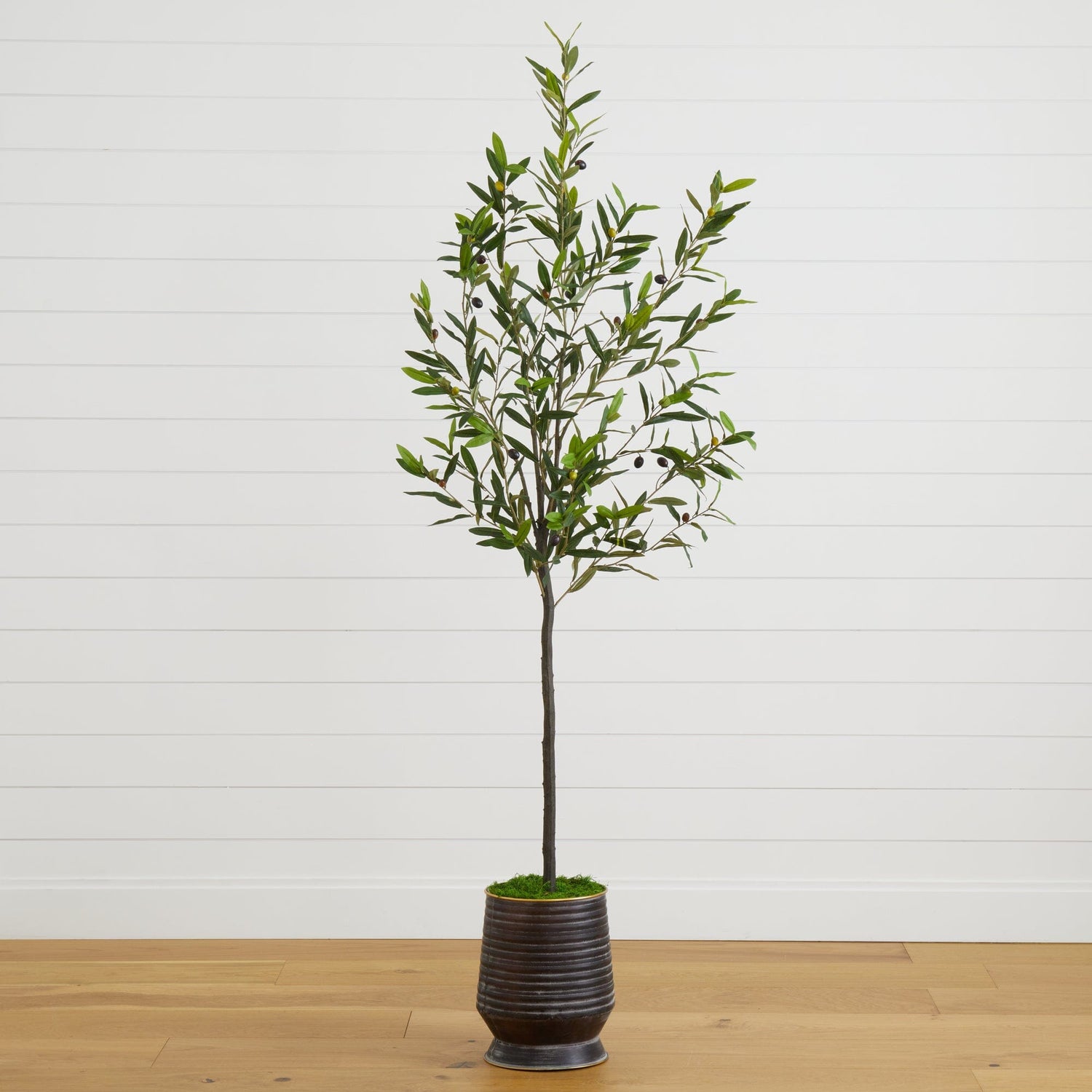 75” Olive Artificial Tree in Ribbed Metal Planter