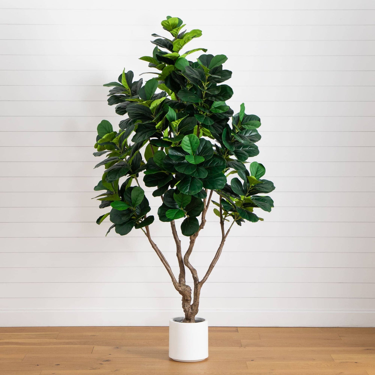 8’ Artificial Grand Fiddle Leaf Tree in White Decorative Planter