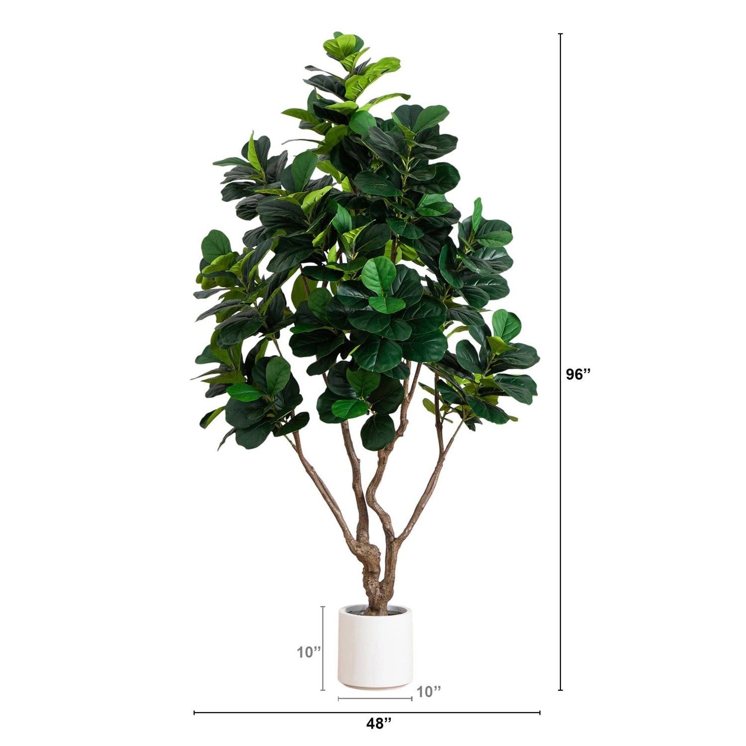 8’ Artificial Grand Fiddle Leaf Tree in White Decorative Planter