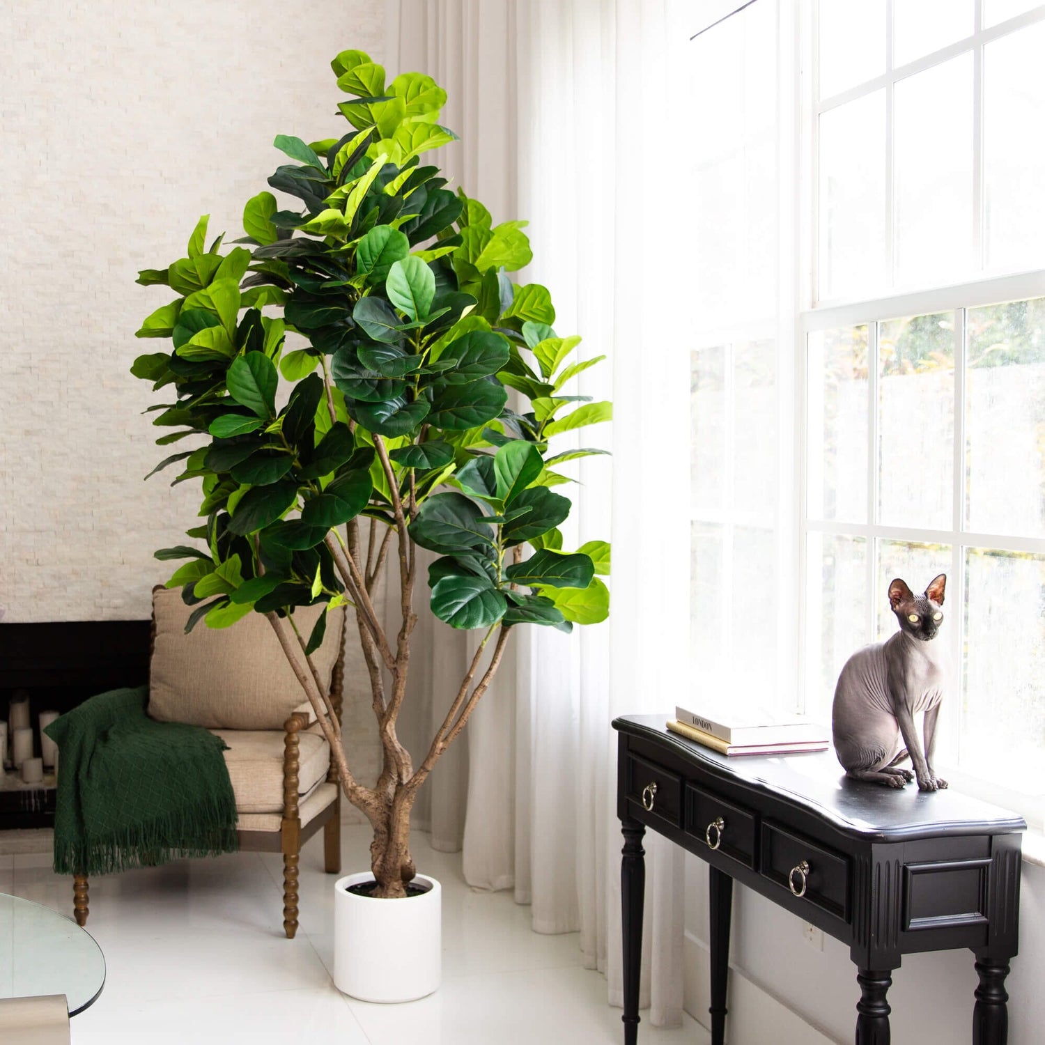 8’ Artificial Grand Fiddle Leaf Tree in White Decorative Planter