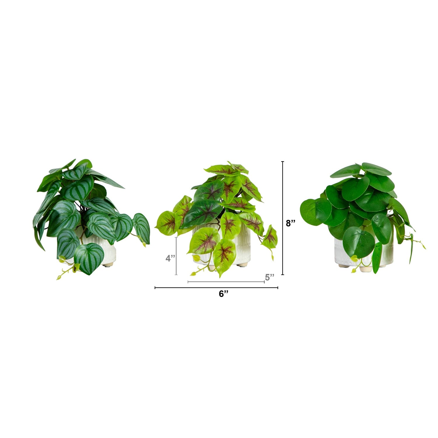 8” Artificial Mixed Greens in Ceramic Planter- Set of 3