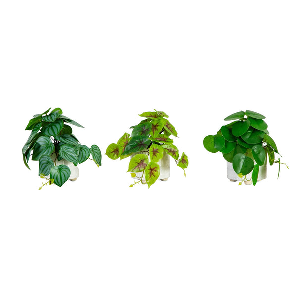 8” Artificial Mixed Greens in Ceramic Planter- Set of 3