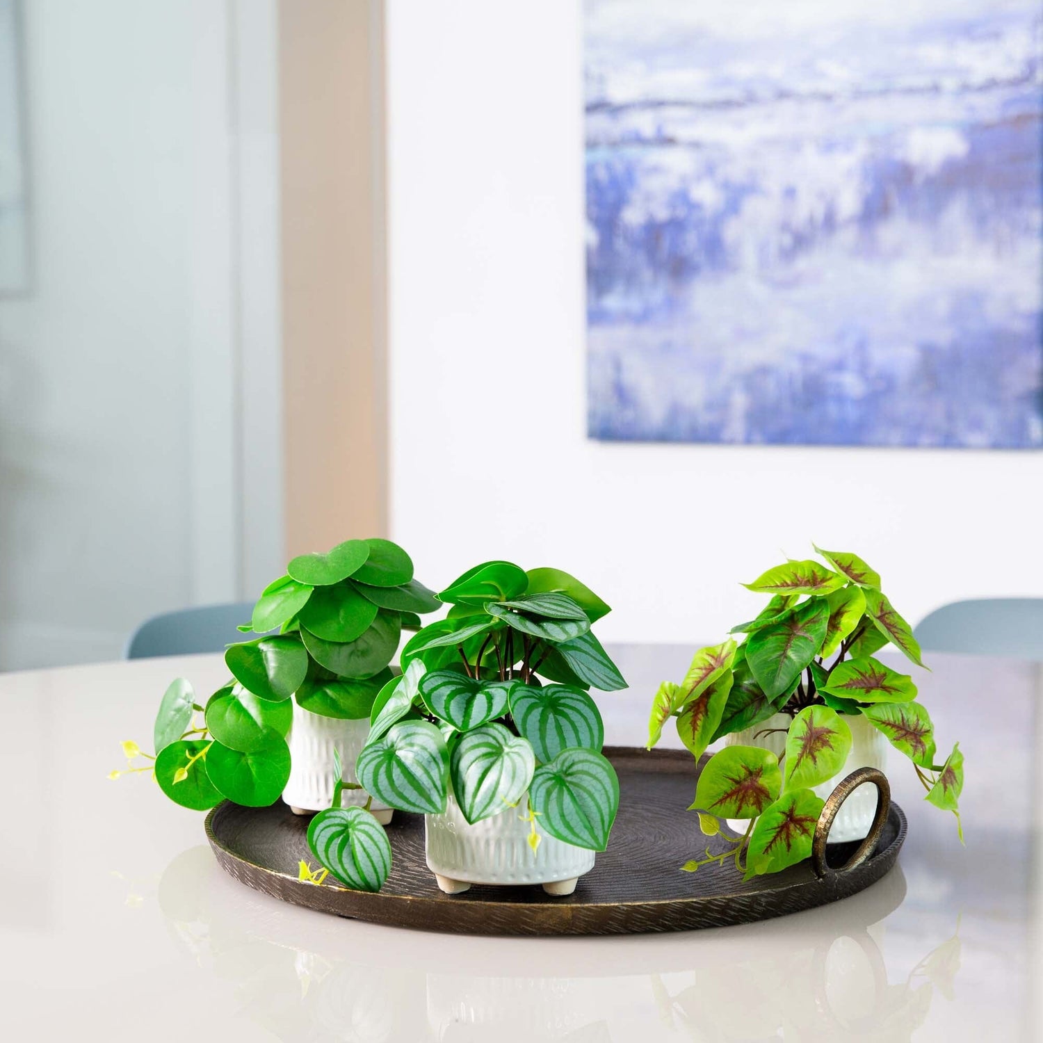 8” Artificial Mixed Greens in Ceramic Planter- Set of 3