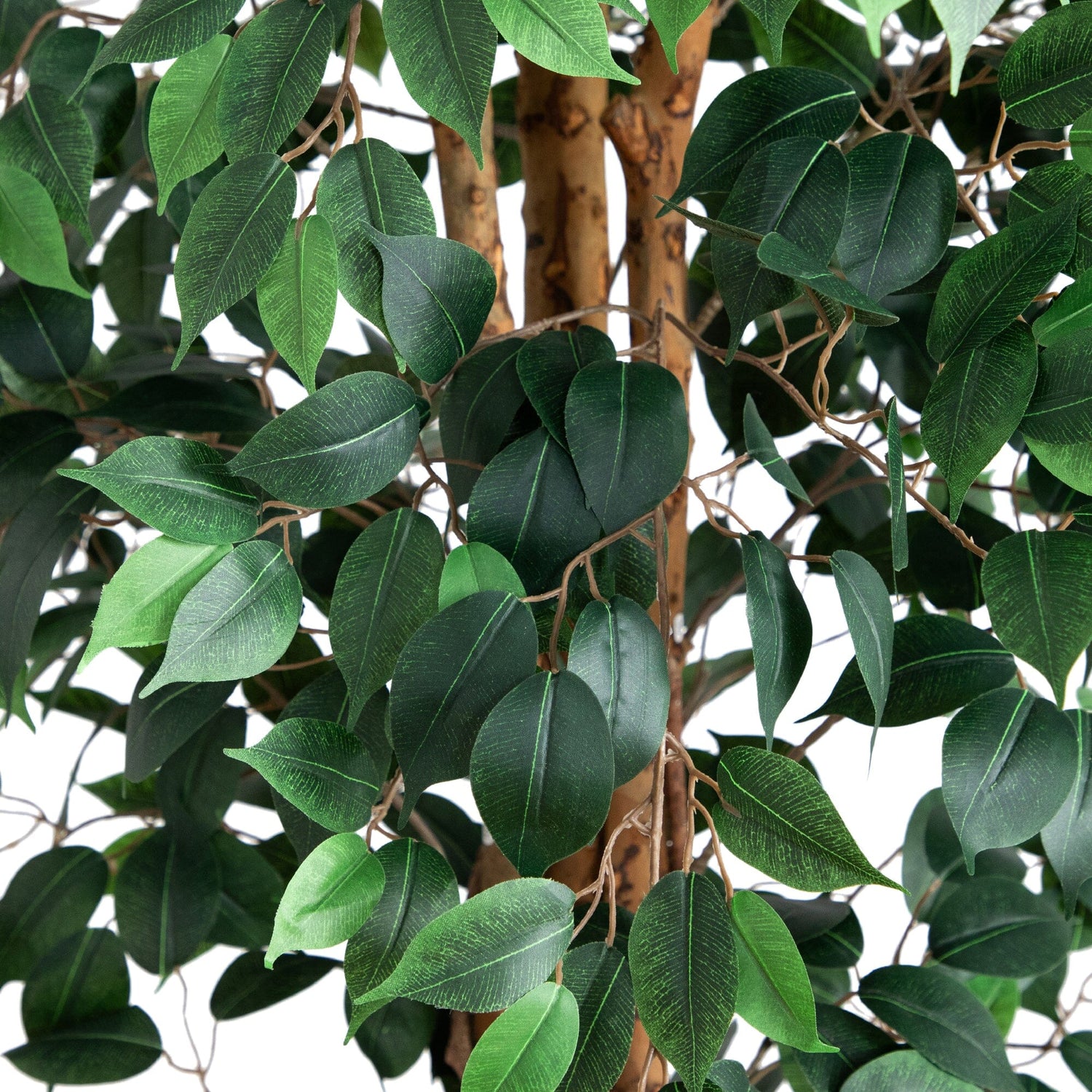 9’ Artificial Ficus Tree with Natural Trunk