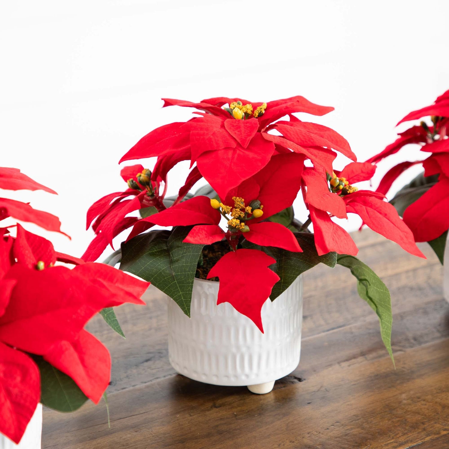 9” Artificial Poinsettia Arrangements in White Ceramic Pots - Set of 3