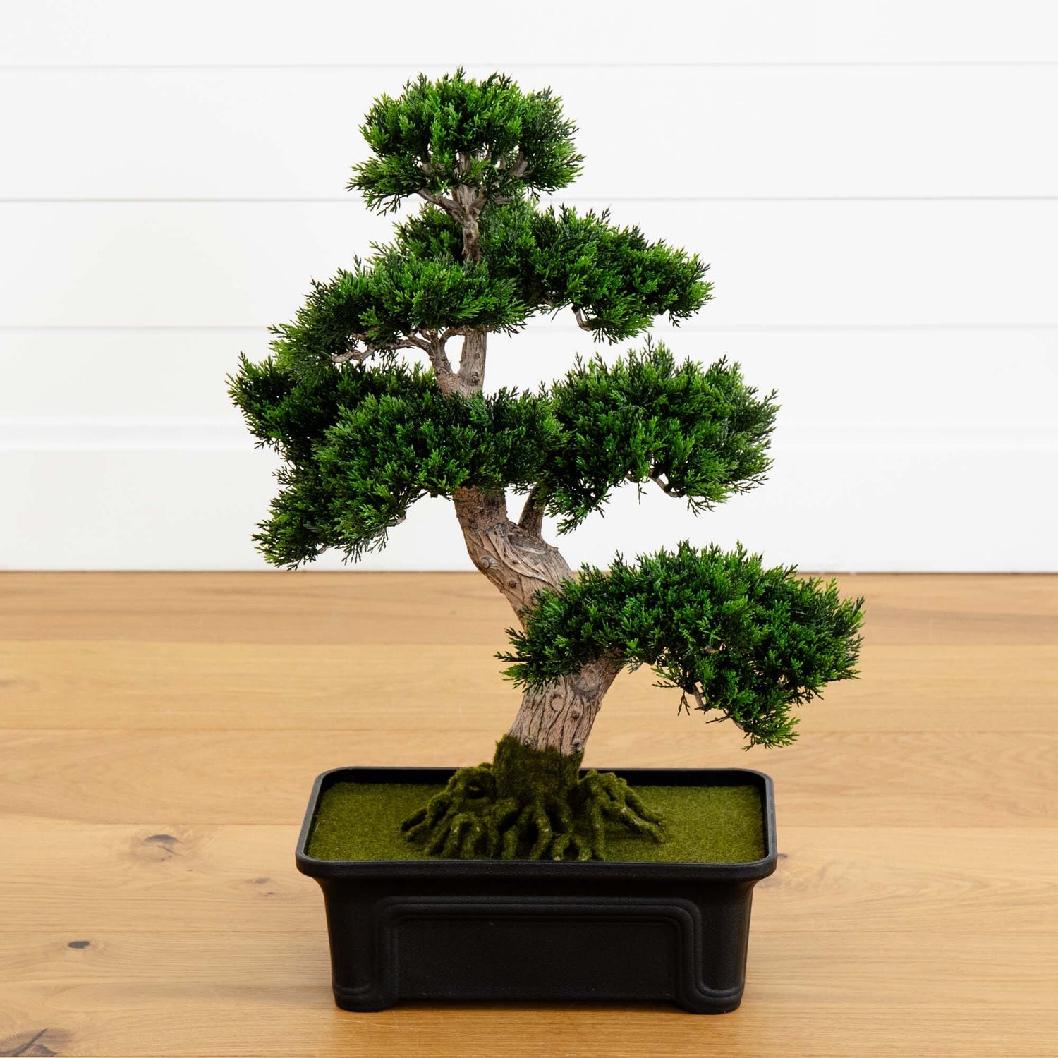 Cedar Bonsai 24" Silk Plant"